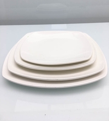 ĐĨA SỨ VUÔNG ẢO