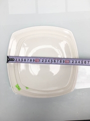 ĐĨA SỨ VUÔNG ẢO