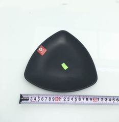 ĐĨA TAM GIÁC NHÁM