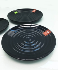 ĐĨA PHÍP ĐEN TRÒN CÓ VÂN 6 PV