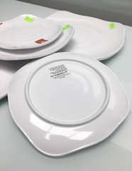 ĐĨA VUÔNG CÓ VÂN PV