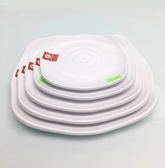 ĐĨA VUÔNG CÓ VÂN PV