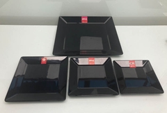 ĐĨA VUÔNG ĐEN PHÍP