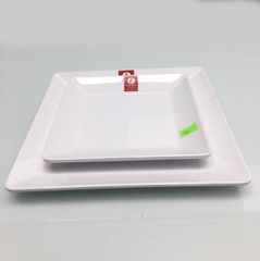 ĐĨA VUÔNG PHÍP TRẮNG DV