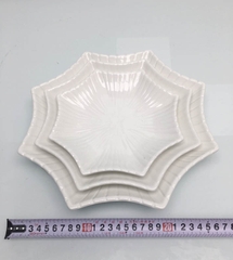 ĐĨA SỨ SAO ĐẸP SANG TRỌNG