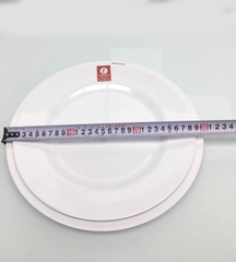 ĐĨA TRÒN PHÍP TRẮNG PV