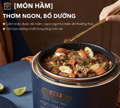 NỒI ÁP SUẤT ĐIỆN BEAR NHỎ GỌN TIỆN ÍCH