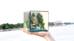 Tiểu Cảnh Bể Kính 