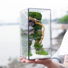 Tiểu Cảnh Bể Kính 