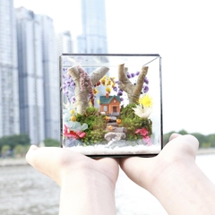 Tiểu Cảnh Bể Kính 