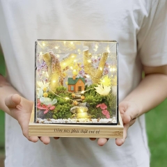 Tiểu Cảnh Bể Kính 