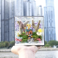 Tiểu Cảnh Bể Kính 