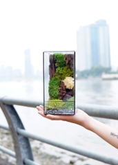 Tiểu Cảnh Bể Kính 