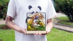 Tiểu Cảnh Bể Kính 