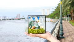 Tiểu Cảnh Bể Kính 