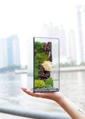 Tiểu Cảnh Bể Kính 