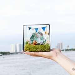 Tiểu Cảnh Bể Kính 