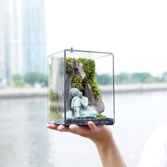 Tiểu Cảnh Bể Kính 