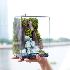 Tiểu Cảnh Bể Kính 