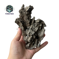 Đá seutup tiểu cảnh