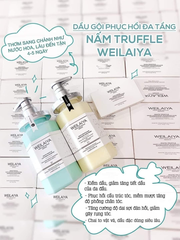 Weilaiya - cặp gội xả nấm Truffle