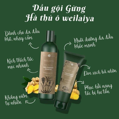Weilaiya - cặp gội xả hà thủ ô (tem nâu)