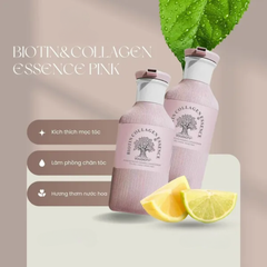 Set Gội Xả Biotin Essence - (Hồng Mộng Mơ)  500ml