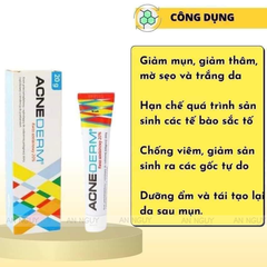 Kem trị mụn Acne Derm 20g