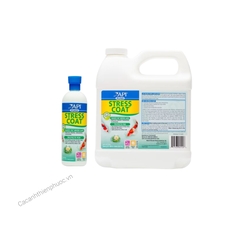 Stress Coat Pond Giảm Stress Cho Cá Cảnh Thuỷ Sinh- Cá Cảnh Thiên Phước