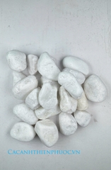 Sỏi Trắng Trang Trí Hồ Thủy Sinh- Cá Cảnh Thiên Phước