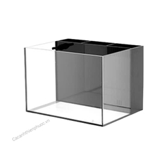 Hồ Lọc Vách Ngăn Riêng - Hồ Thuỷ Sinh- Cá Cảnh Thiên Phước