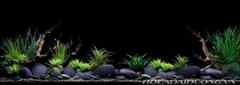 Nền Đen -Tranh 3D  Dán Hồ Cá - Decal Dán Hồ- Cá Cảnh Thiên Phước