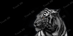 Tranh Con Hổ - Ngựa - Công-Tranh 3D  Dán Hồ Cá - Decal Dán Hồ- Cá Cảnh Thiên Phước