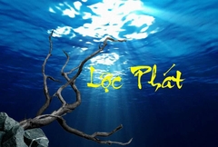 Tranh Chữ Thư Pháp-Tranh 3D  Dán Hồ Cá - Decal Dán Hồ- Cá Cảnh Thiên Phước