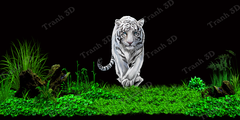 Tranh Con Hổ - Ngựa - Công-Tranh 3D  Dán Hồ Cá - Decal Dán Hồ- Cá Cảnh Thiên Phước
