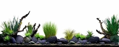Nền Trắng-Tranh 3D  Dán Hồ Cá - Decal Dán Hồ- Cá Cảnh Thiên Phước