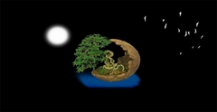 Nền Đen -Tranh 3D  Dán Hồ Cá - Decal Dán Hồ- Cá Cảnh Thiên Phước