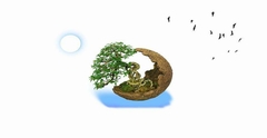 Nền Trắng-Tranh 3D  Dán Hồ Cá - Decal Dán Hồ- Cá Cảnh Thiên Phước