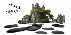 Nền Trắng-Tranh 3D  Dán Hồ Cá - Decal Dán Hồ- Cá Cảnh Thiên Phước