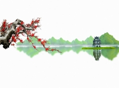Nền Trắng-Tranh 3D  Dán Hồ Cá - Decal Dán Hồ- Cá Cảnh Thiên Phước