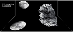 Tranh Con Hổ - Ngựa - Công-Tranh 3D  Dán Hồ Cá - Decal Dán Hồ- Cá Cảnh Thiên Phước
