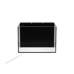 Hồ Lọc Vách Ngăn Riêng - Hồ Thuỷ Sinh- Cá Cảnh Thiên Phước