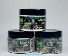 Khoáng Bột Bee Shrimp Gh+ Cho Tép Cảnh - Cá Cảnh Thiên Phước