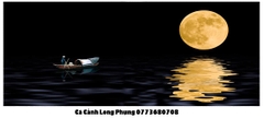 Nền Đen -Tranh 3D  Dán Hồ Cá - Decal Dán Hồ- Cá Cảnh Thiên Phước