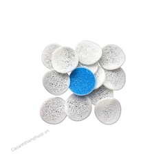 Hạt Lọc Biochip Vật Liệu Lọc Cho Hồ Cá Koi- Cá Cảnh Thiên Phước