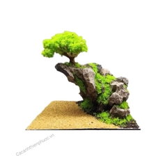 Layout Nhựa Cô Đơn Setup Hồ Thủy Sinh  - Cá Cảnh Thiên Phước