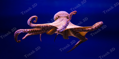 Tranh Con Hổ - Ngựa - Công-Tranh 3D  Dán Hồ Cá - Decal Dán Hồ- Cá Cảnh Thiên Phước