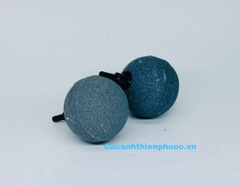 Đầu Sủi Oxy Cho Hồ Thủy Sinh- Cá Cảnh Thiên Phước