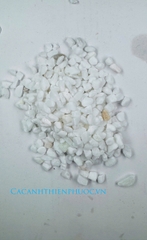 Sỏi Trắng Trang Trí Hồ Thủy Sinh- Cá Cảnh Thiên Phước