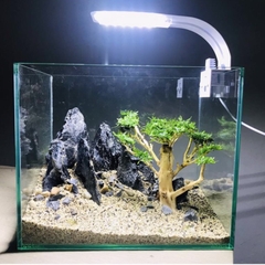 Đá Kẹp Kem Setup Hồ Thủy Sinh- Cá Cảnh Thiên Phước